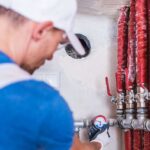 How to control pests effectively